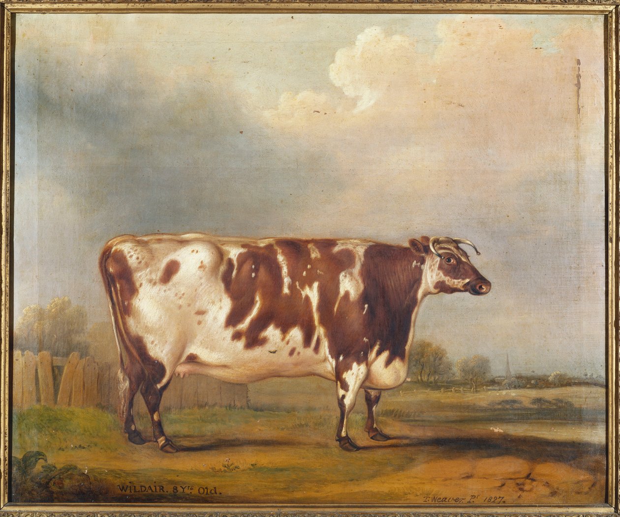 Wildair, una novilla de ocho años en un paisaje fluvial, 1827 de Thomas Weaver