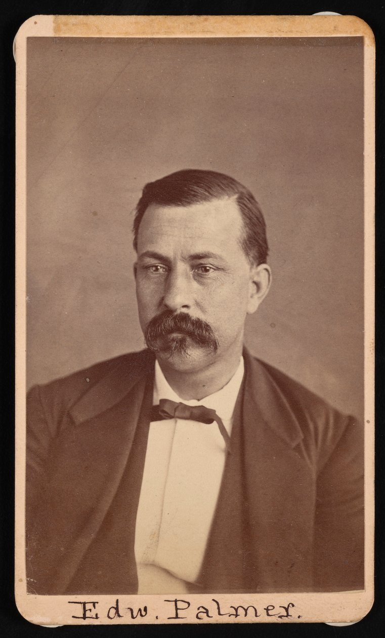 Retrato de Edward Palmer de Thomas William Smillie