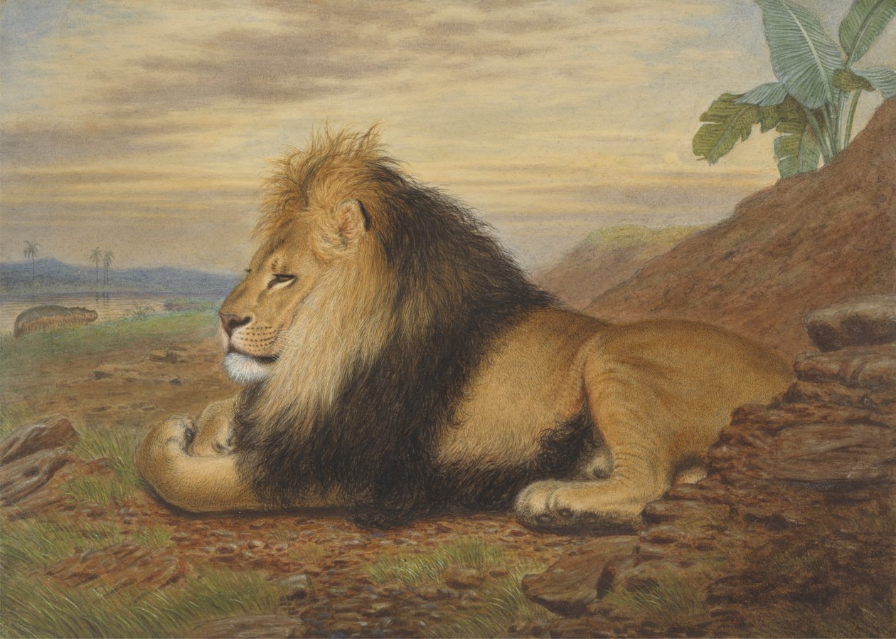 Un León de Thomas William Wood