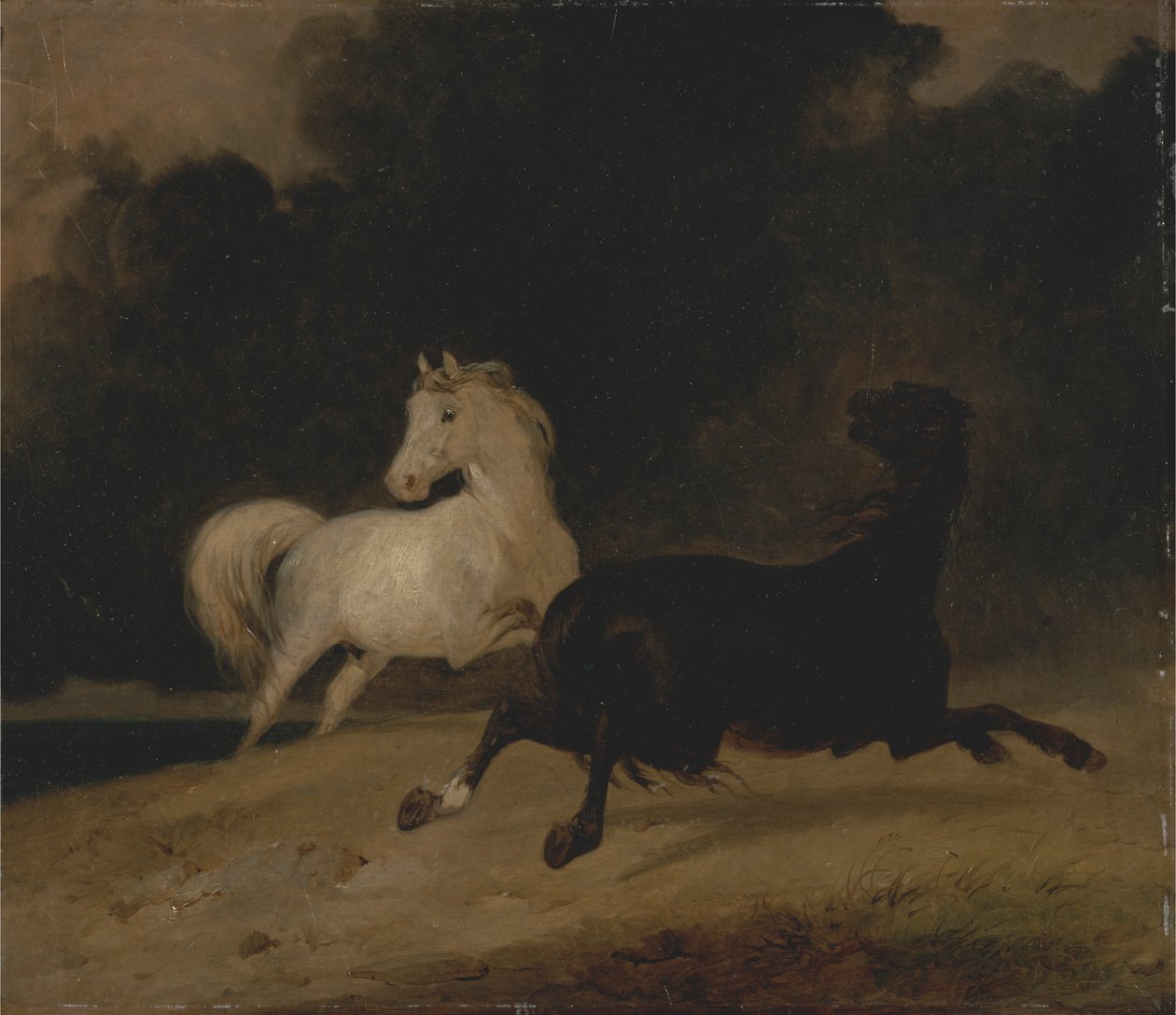 Caballos en una tormenta de Thomas Woodward