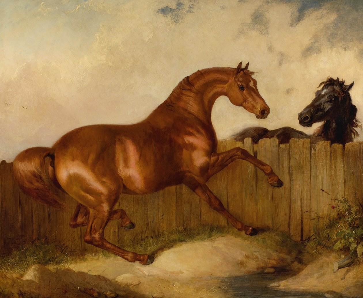 Semental y yegua de Thomas Woodward