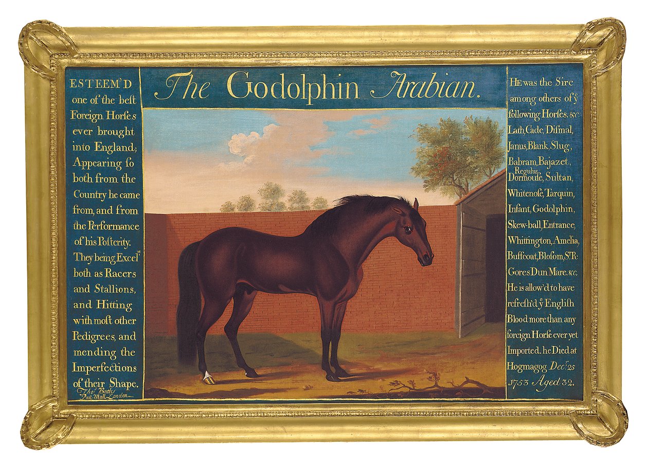 El Godolphin árabe de Thomas of Pall Mall Butler