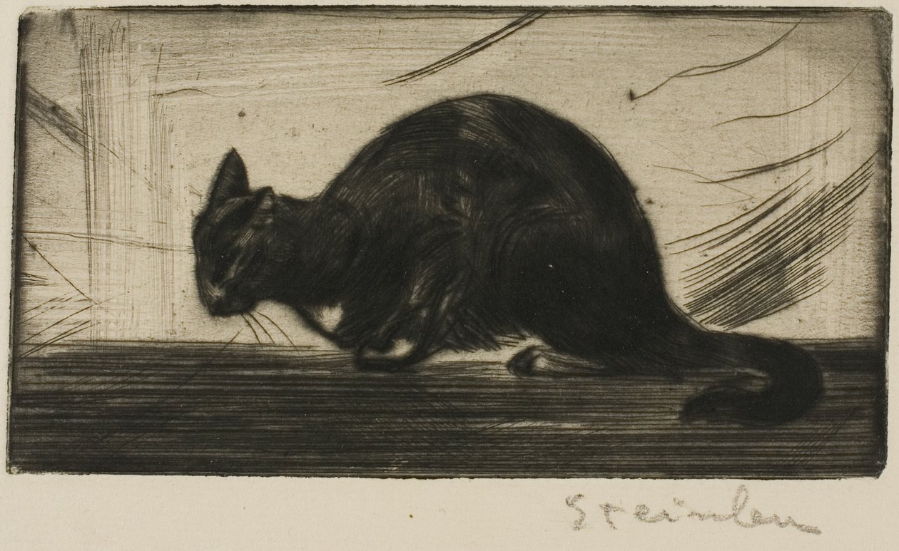 Gato arqueando la espalda de Théophile Alexandre Pierre Steinlen