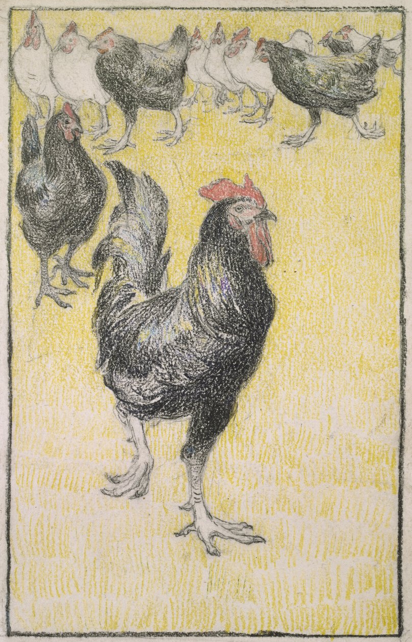 Gallo, seguido por Gallinas blancas y negras de Théophile Alexandre Steinlen