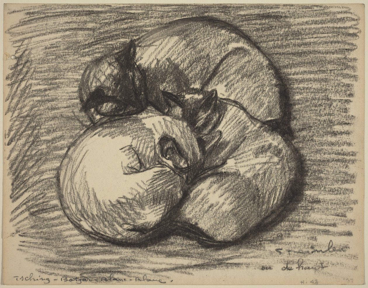 Los gatos: Tsching, Batzar y Blanc-Blanc de Théophile Alexandre Steinlen