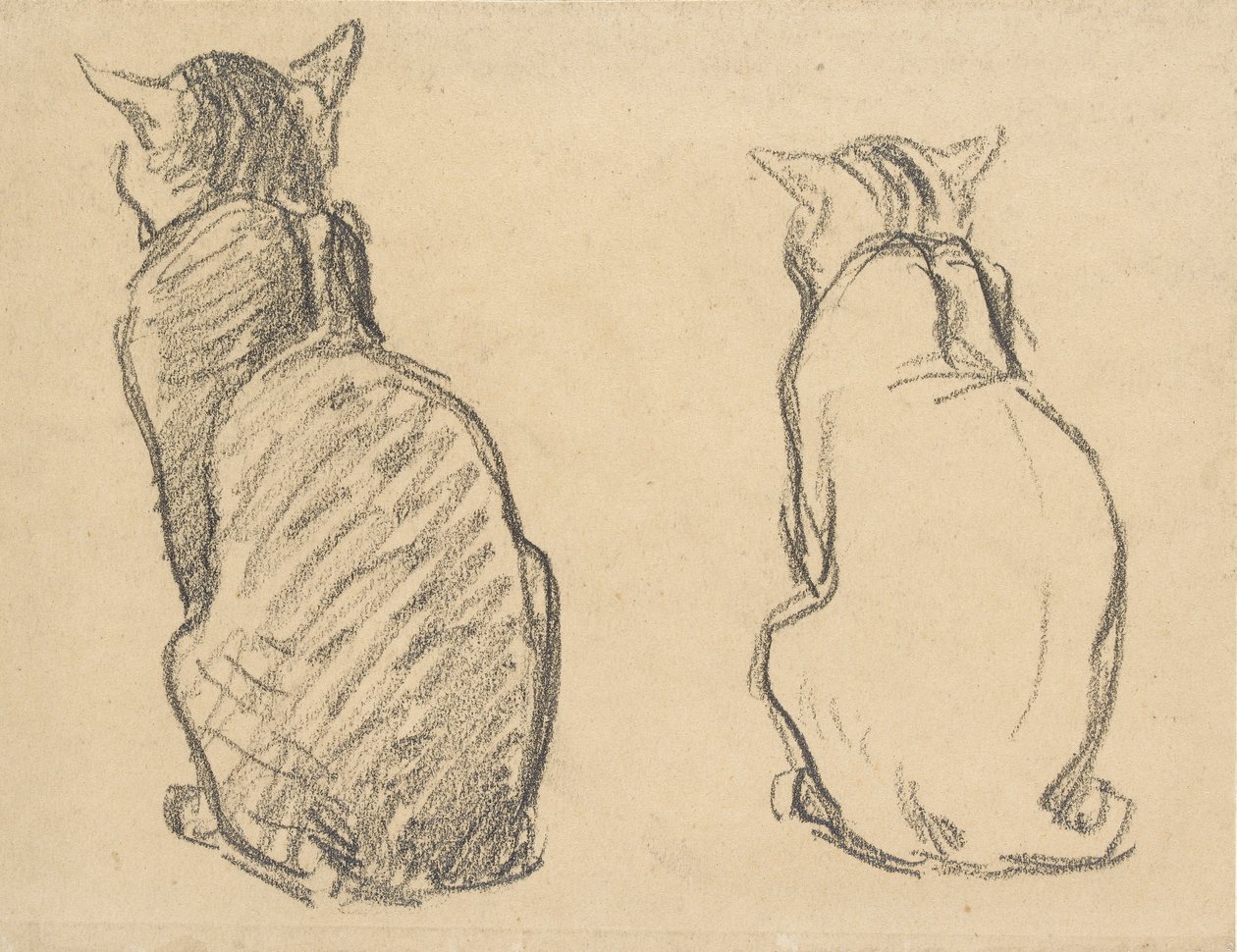 Dos Estudios de un Gato de Théophile Alexandre Steinlen