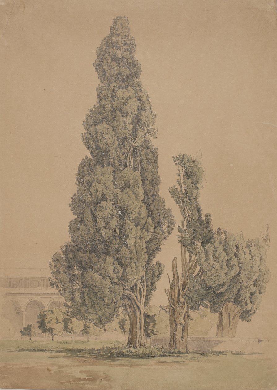 Cipreses de Thorald Brendstrup