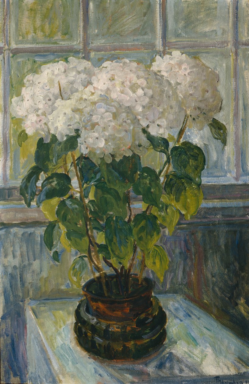 Hortensia de Thorolf Holmboe