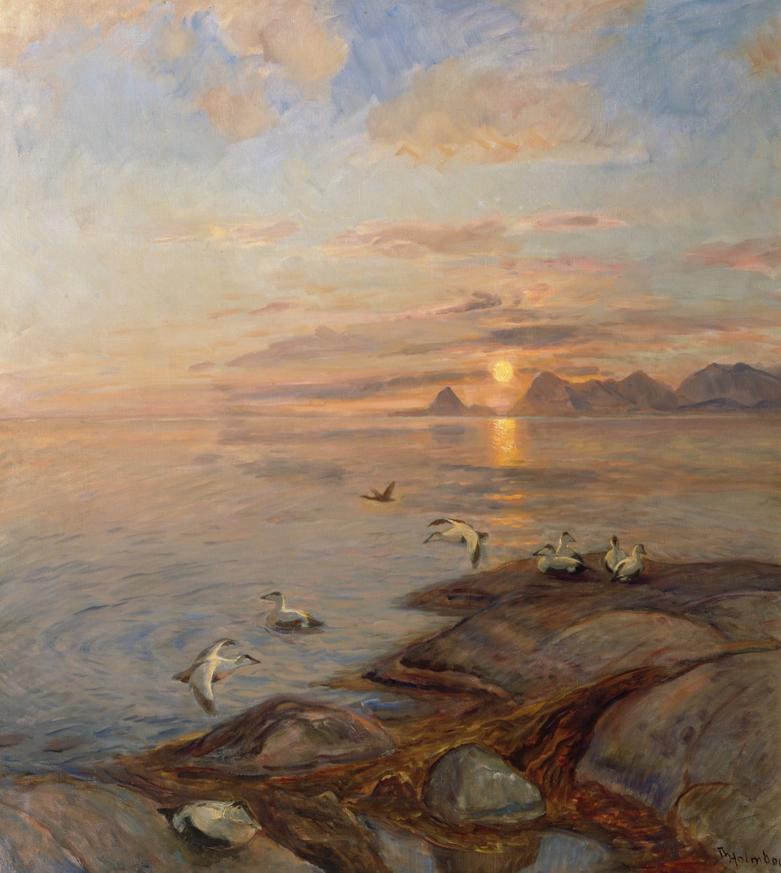 Aves marinas en sol de medianoche (óleo sobre lienzo) de Thorolf Holmboe