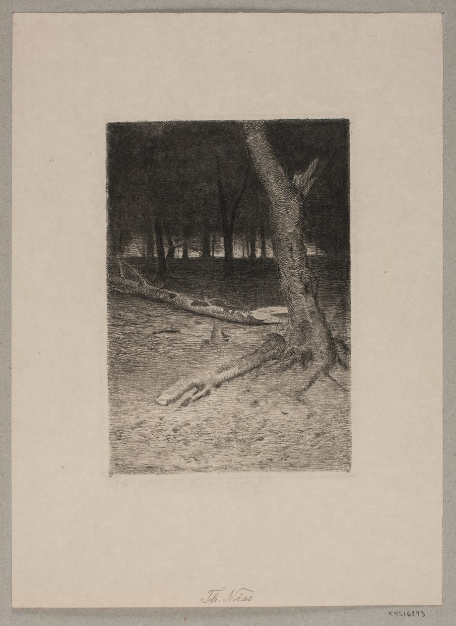 Paisaje forestal. Tarde de Thorvald Niss