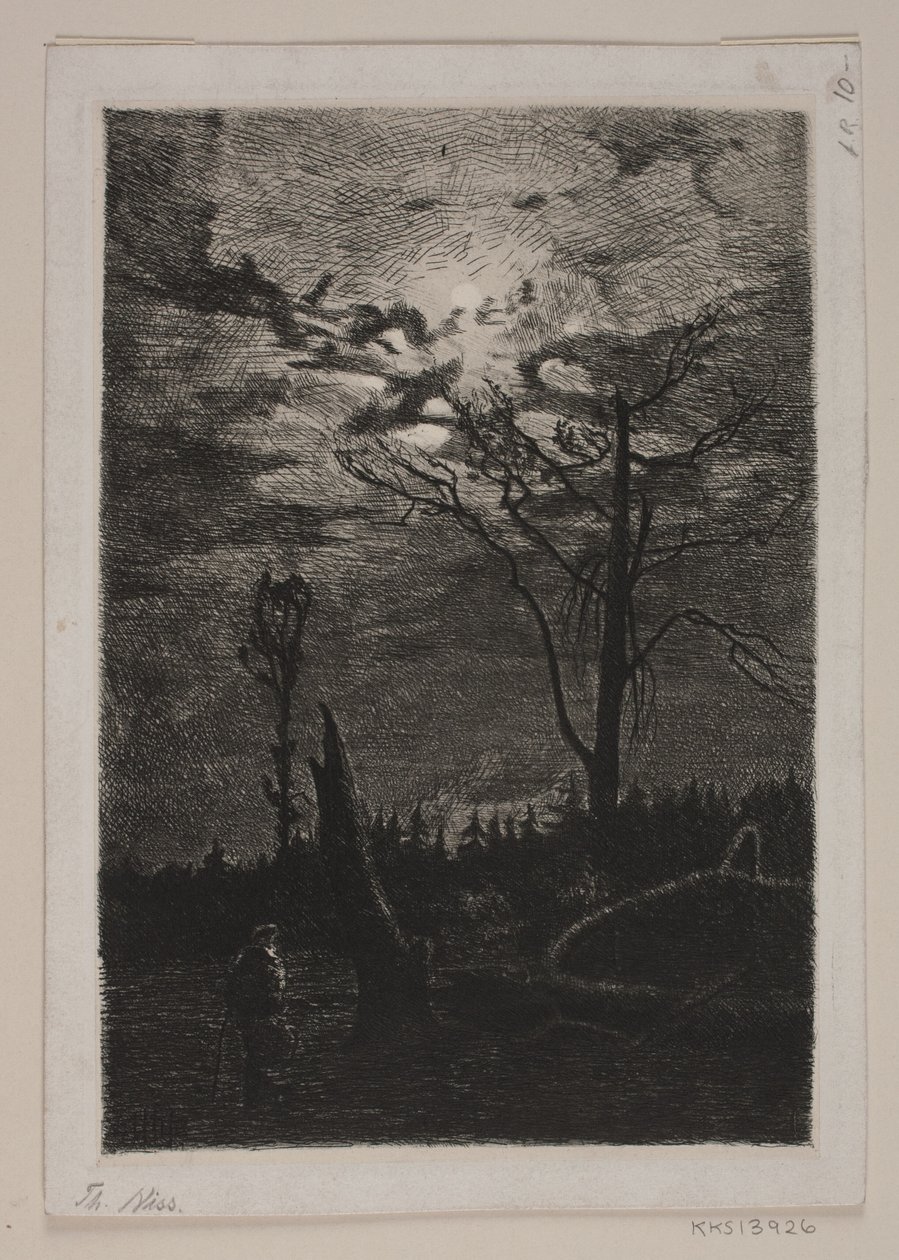 Desmonte. Tarde de Thorvald Niss