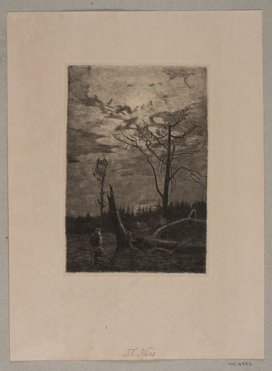 Desmonte. Tarde de Thorvald Niss