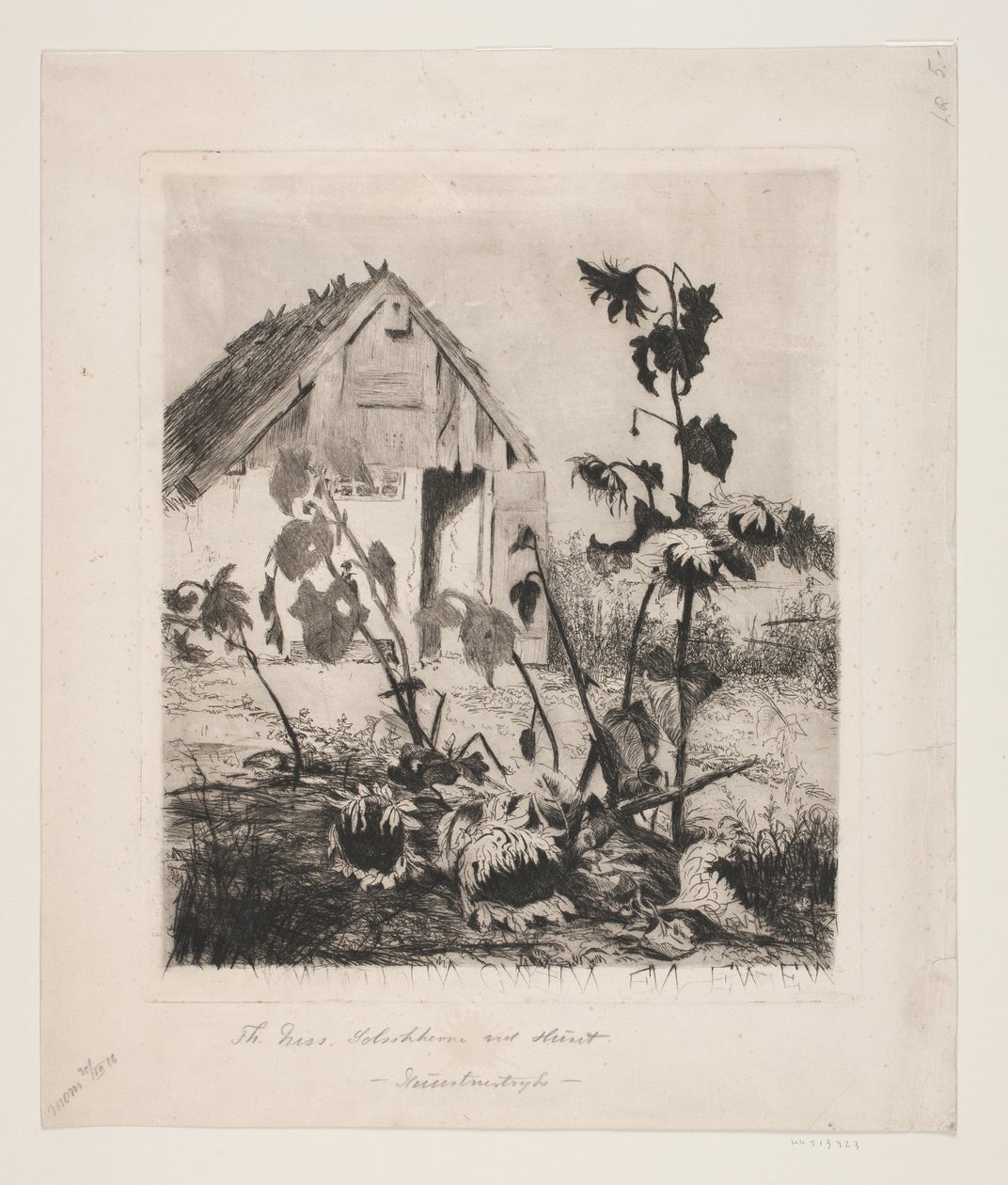 Girasoles en la casa de Thorvald Niss