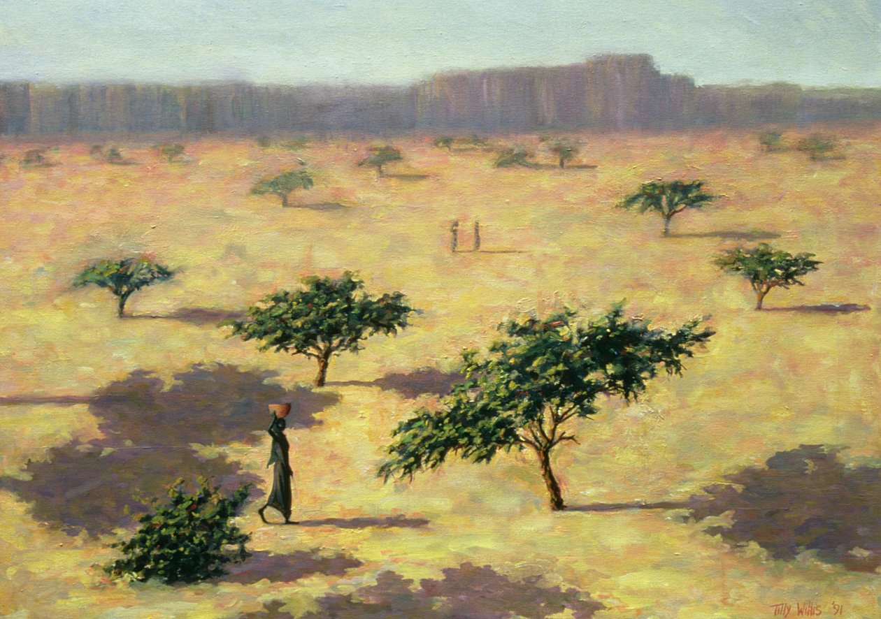 Paisaje saheliano, Mali, 1991 de Tilly Willis