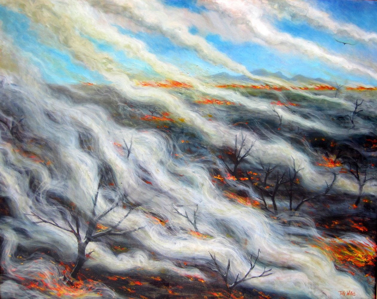 Tierra quemada, 2014 de Tilly Willis