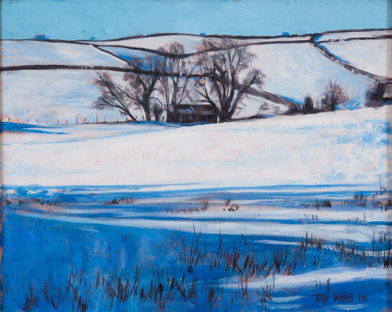 Sombras de Nieve, 2010 de Tilly Willis