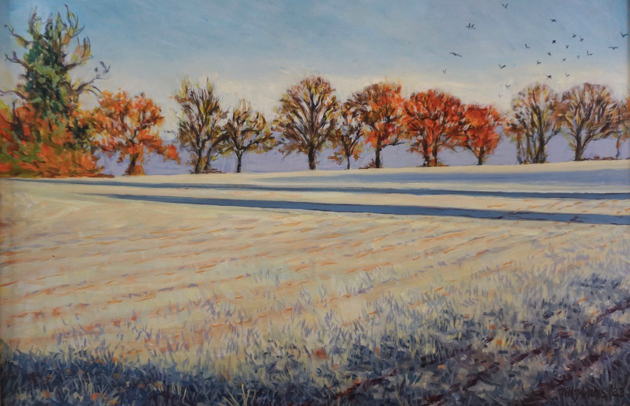 Escarcha en el campo, 2024 (óleo sobre tabla) de Tilly Willis