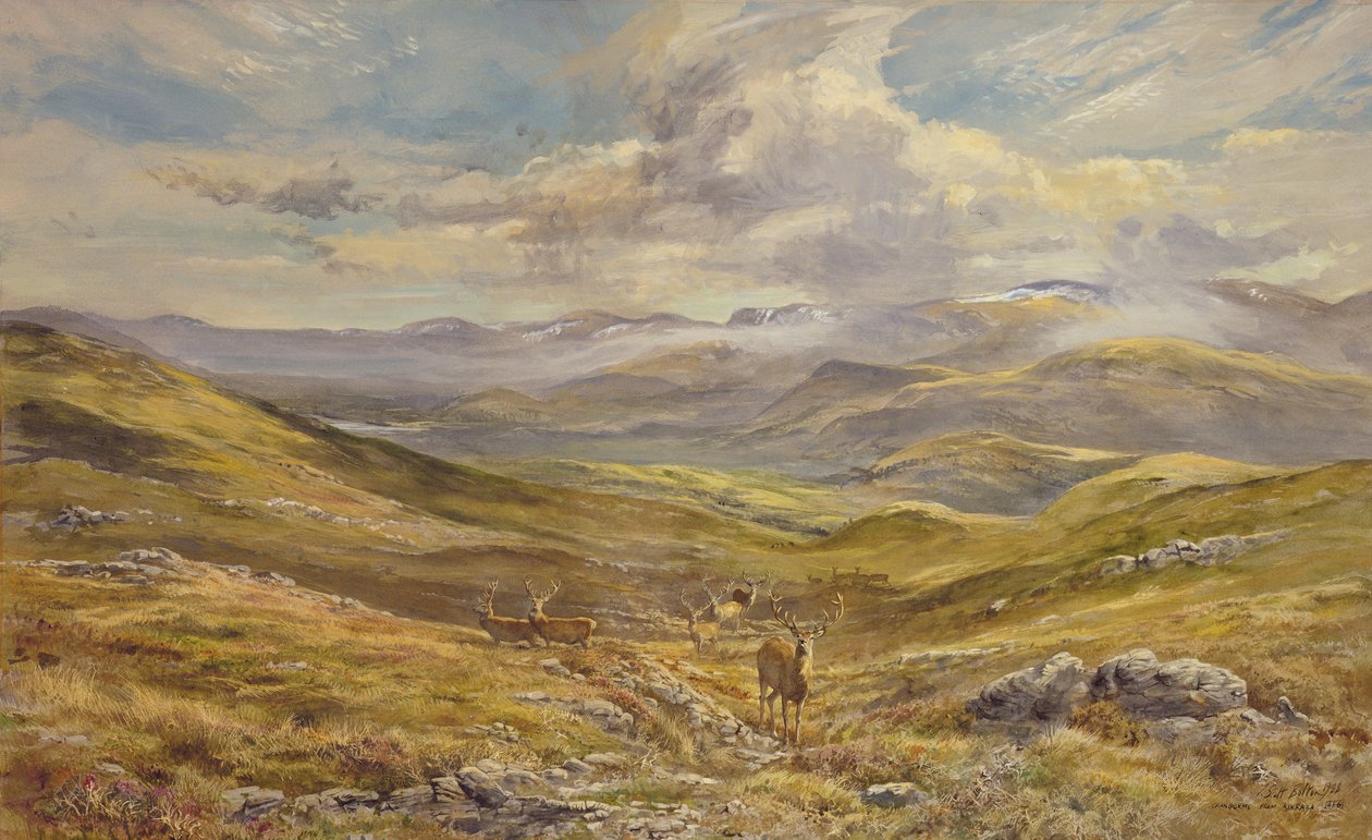 Cairngorms desde Kinrara, 1988 de Tim Scott Bolton