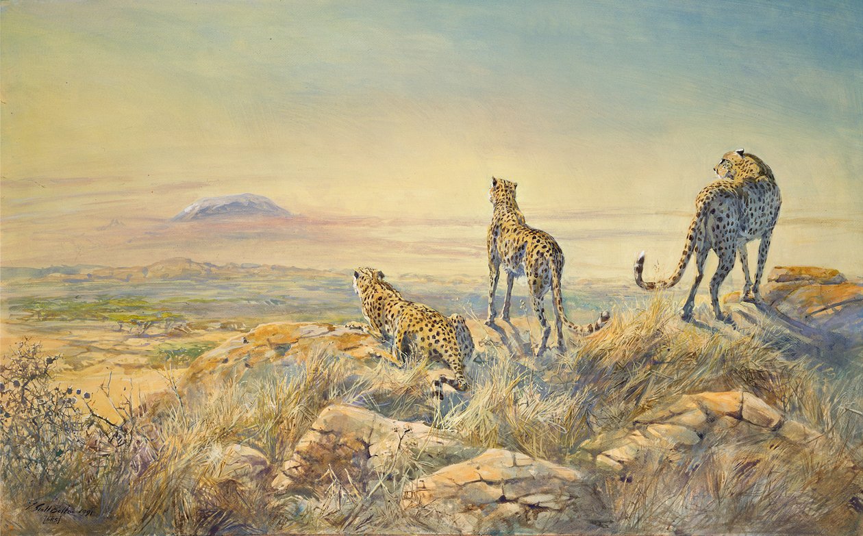 Guepardo con Kilimanjaro en el fondo, 1991 de Tim Scott Bolton