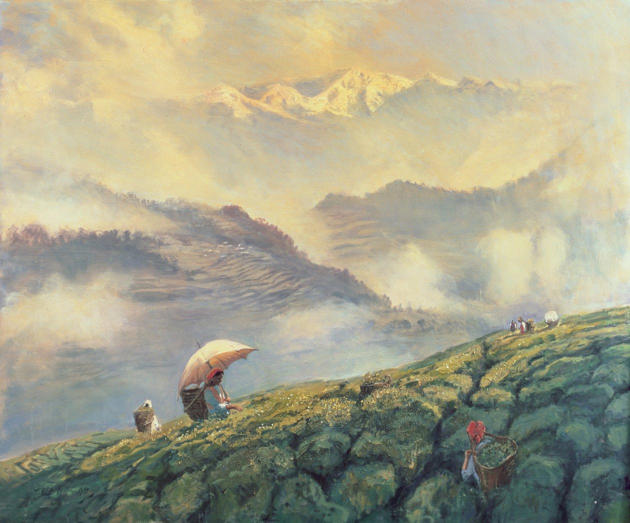 Recolección de Té, Darjeeling, India, 1999 de Tim Scott Bolton