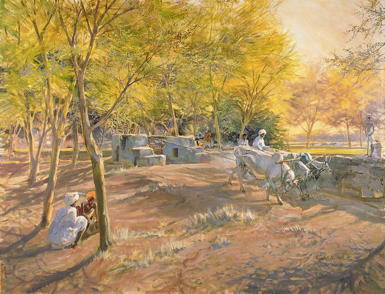 Trabajando por el Agua, Rajastán, 1997 de Tim Scott Bolton