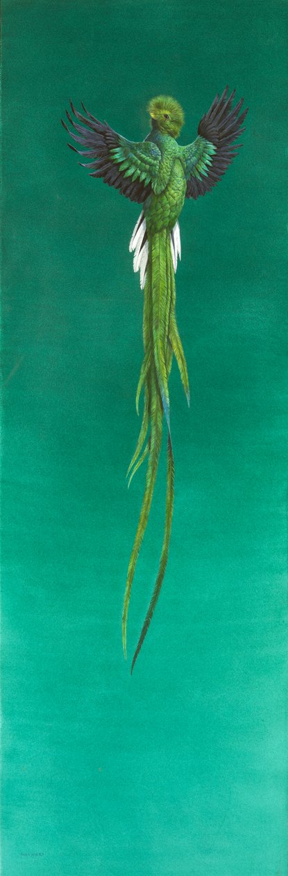 Quetzal de Tim Hayward