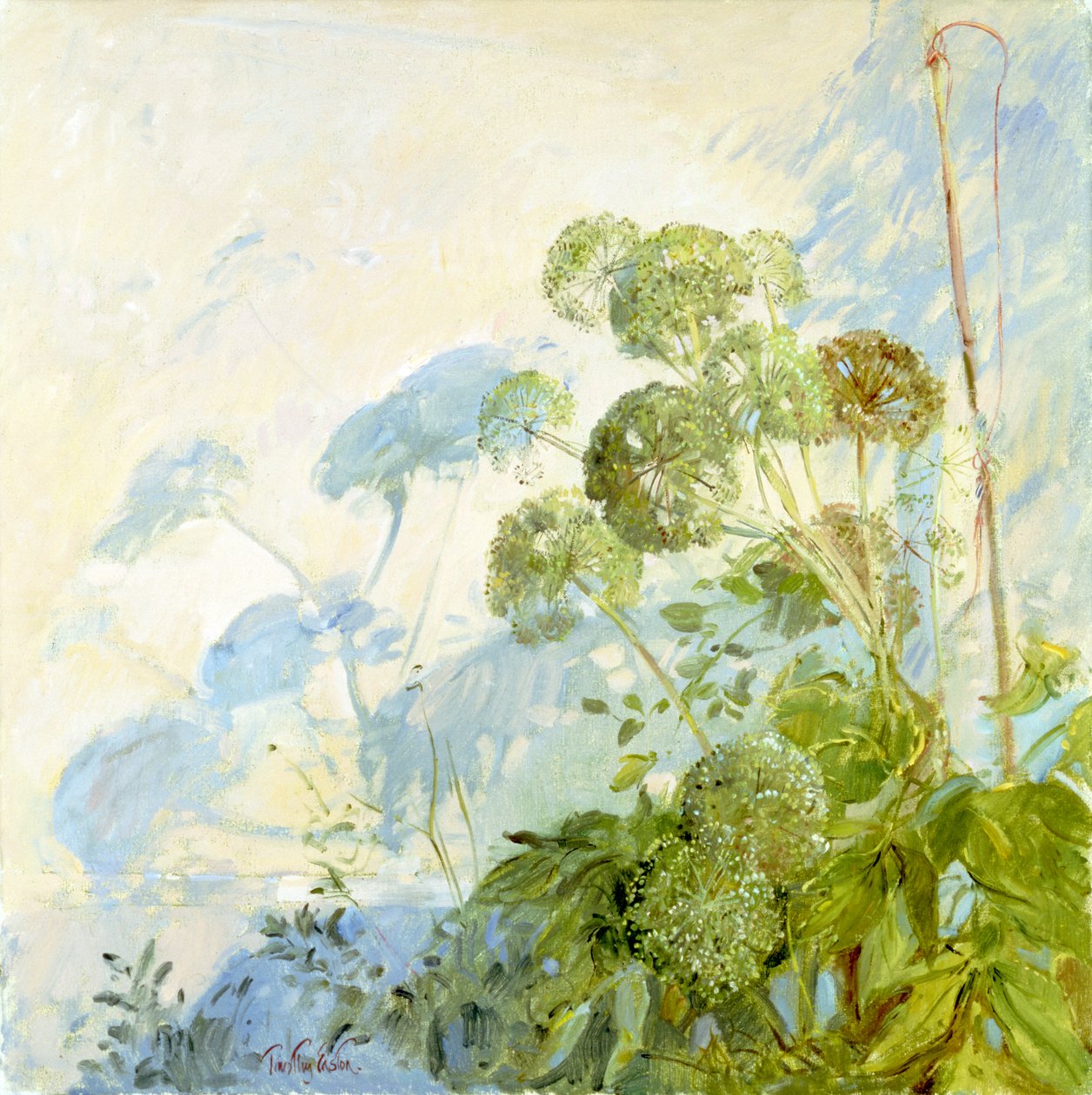 Sombras de Angélica de Timothy Easton