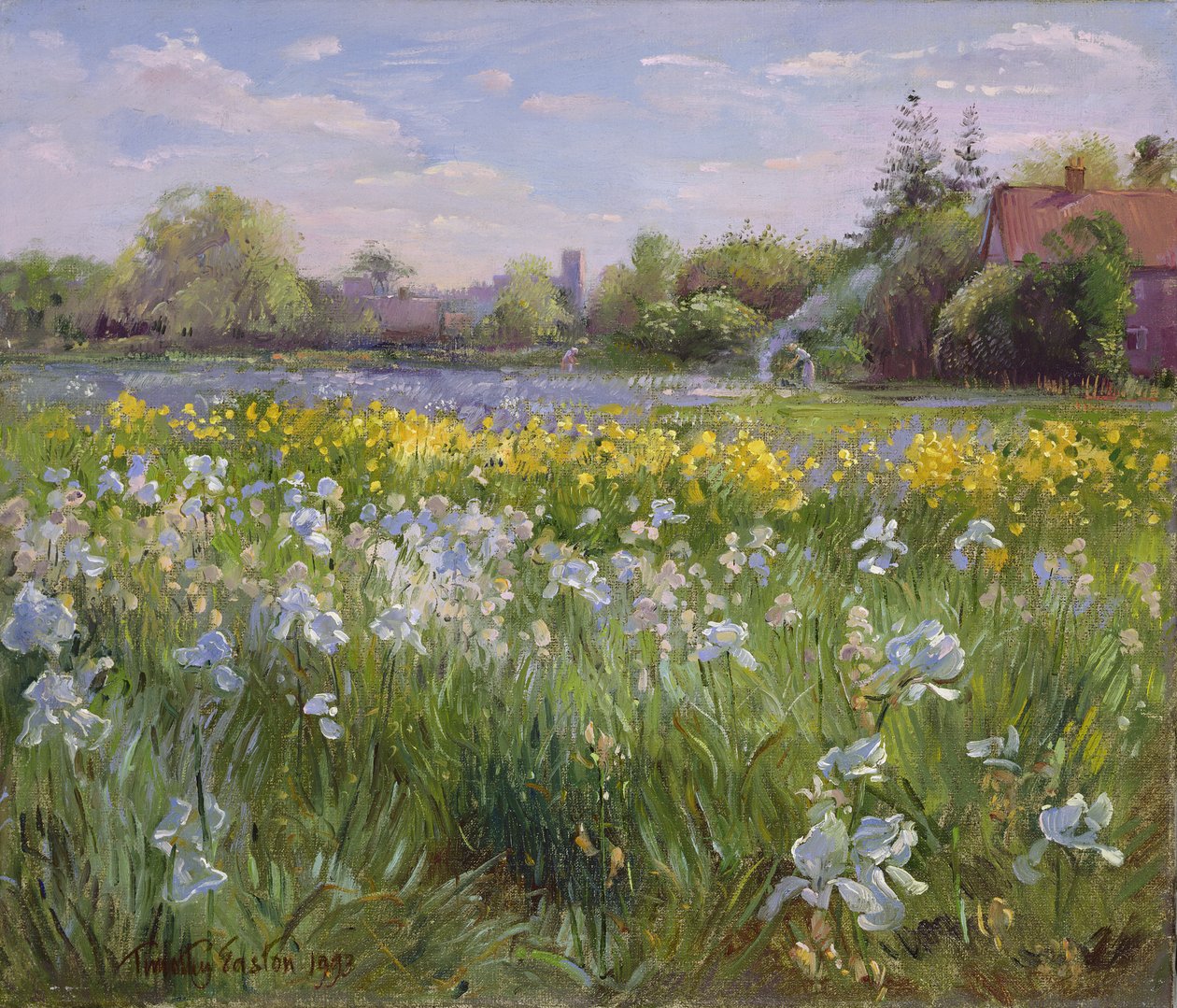 Hoguera y campo de iris, 1993 de Timothy Easton