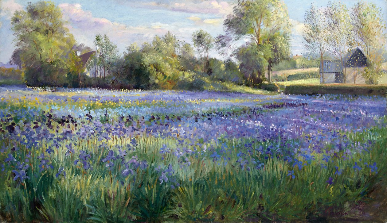 Luz moteada en el campo de iris, 1991 de Timothy Easton