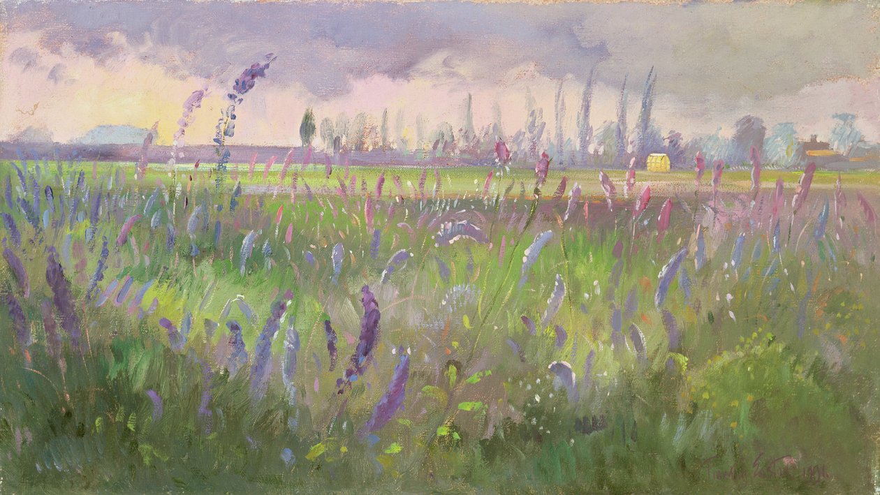Delphiniums, Tormenta pasando, 1991 de Timothy Easton