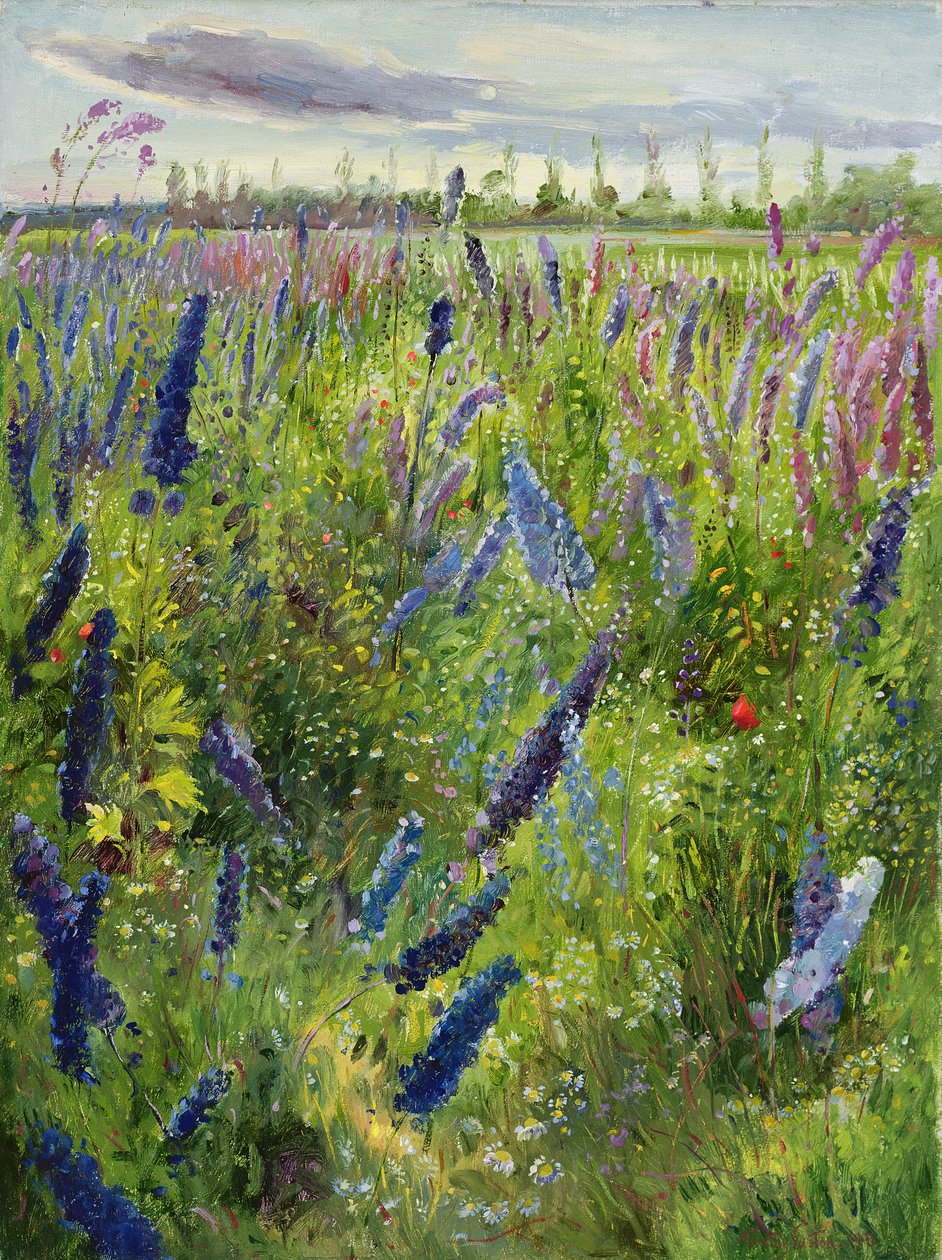 Delphiniums y sol emergente, 1991 de Timothy Easton