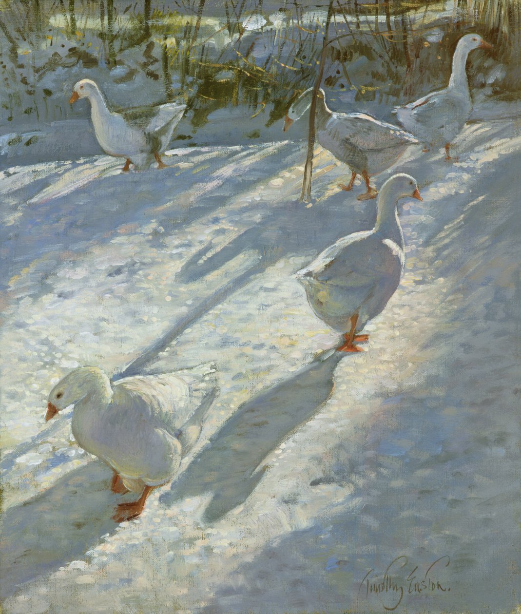Explorando la Pendiente de Timothy Easton