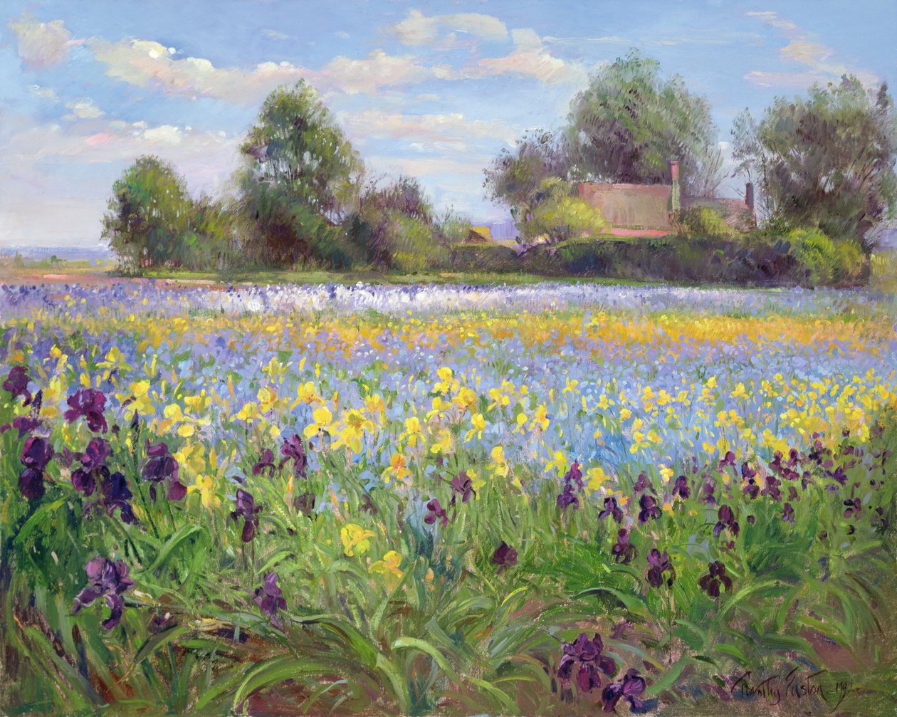 Granja y campo de iris, 1992 de Timothy Easton