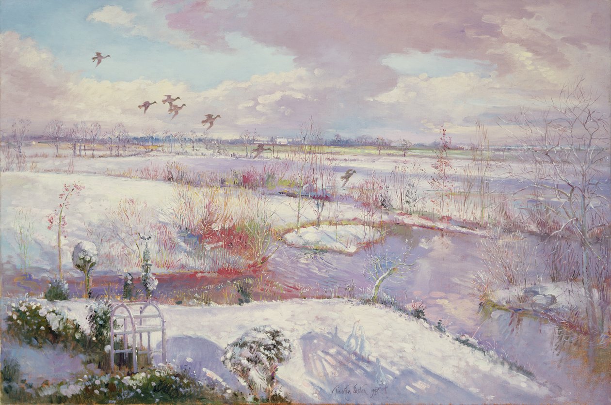 Vuelo hacia abajo de Timothy Easton