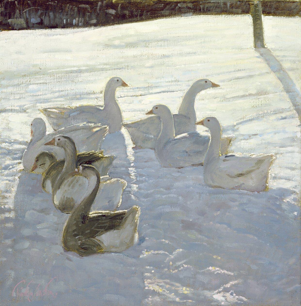 Gansos contra la luz de Timothy Easton