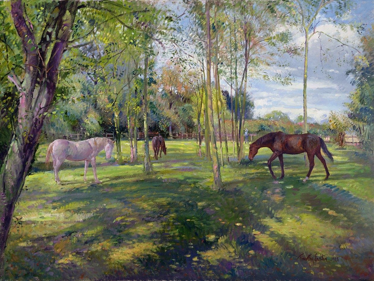 En el prado de la rectoría, 1993 de Timothy Easton