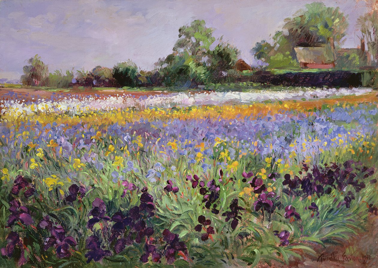 Campo de lirios y dos cabañas de Timothy Easton