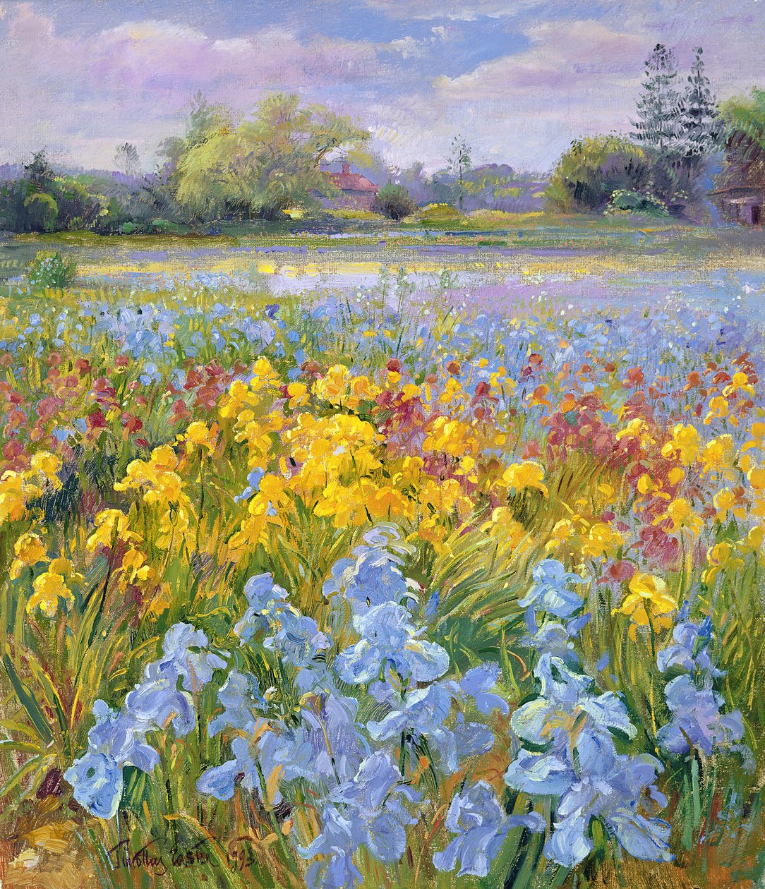 Iris, Sauce y Abeto, 1993 de Timothy Easton