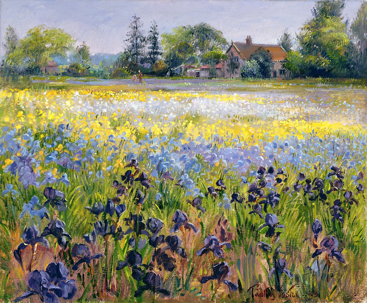 Iris y Dos Pinos, 1993 de Timothy Easton