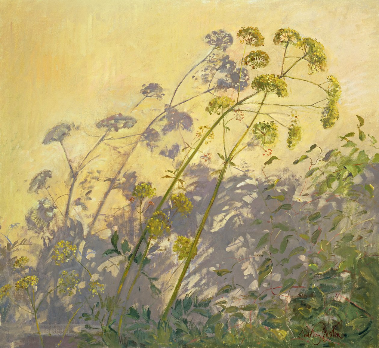 Levístico, Clemátide y Sombras, 1999 de Timothy Easton