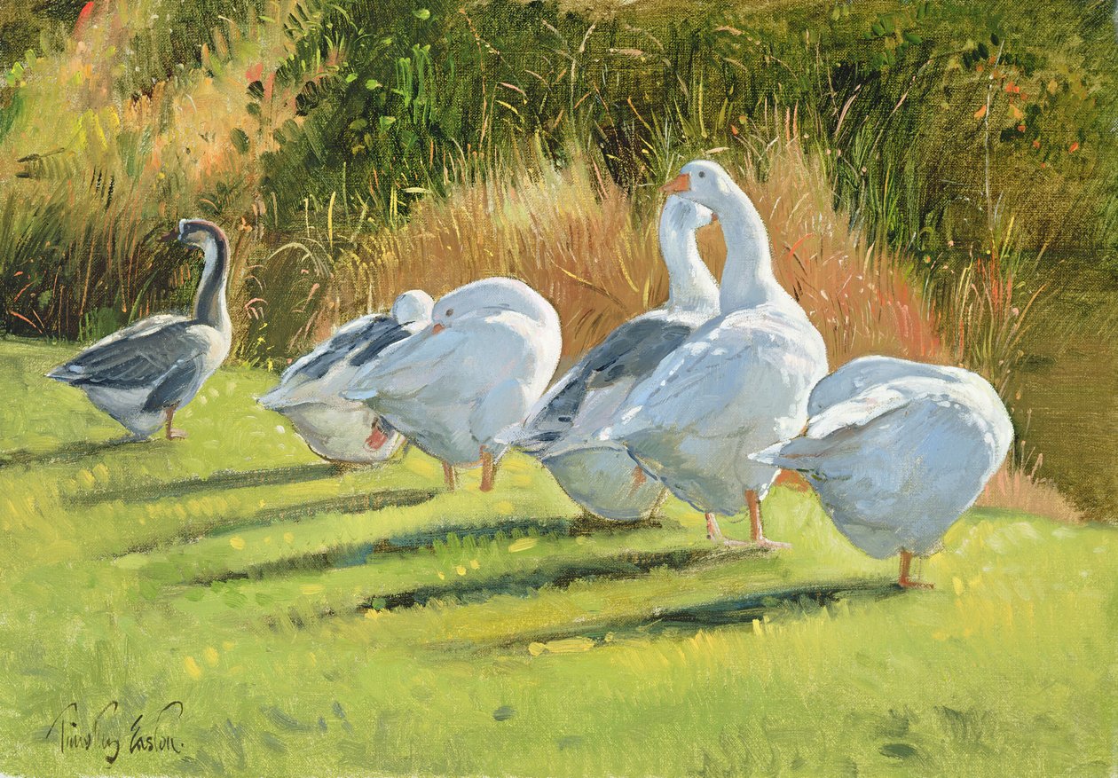 Borde del foso, Bedfield de Timothy Easton
