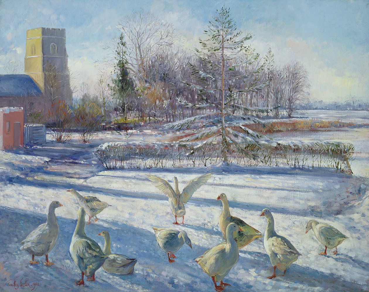 Gansos de nieve, mañana de invierno de Timothy Easton