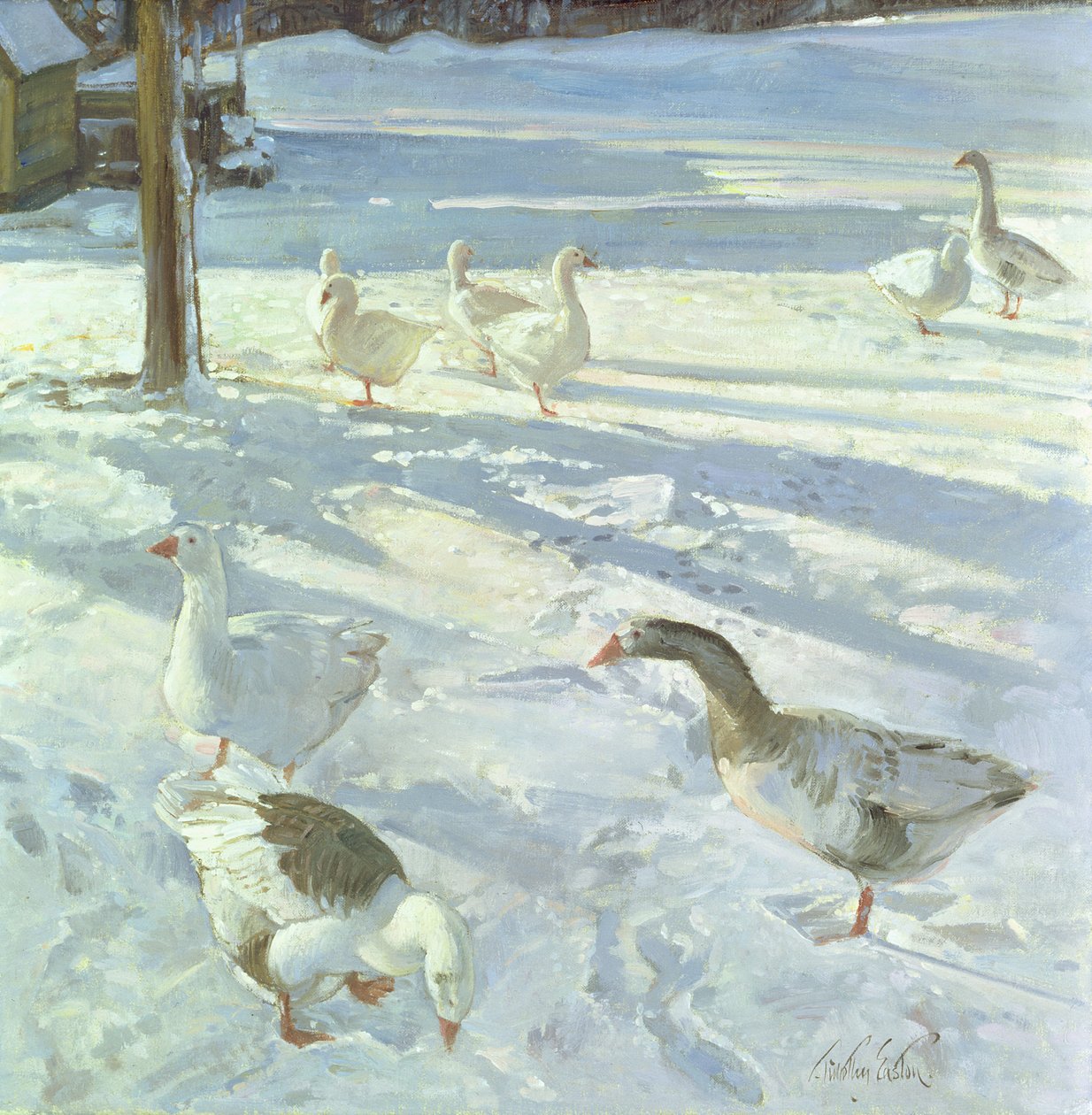 Alimentadores de nieve, 1999 de Timothy Easton