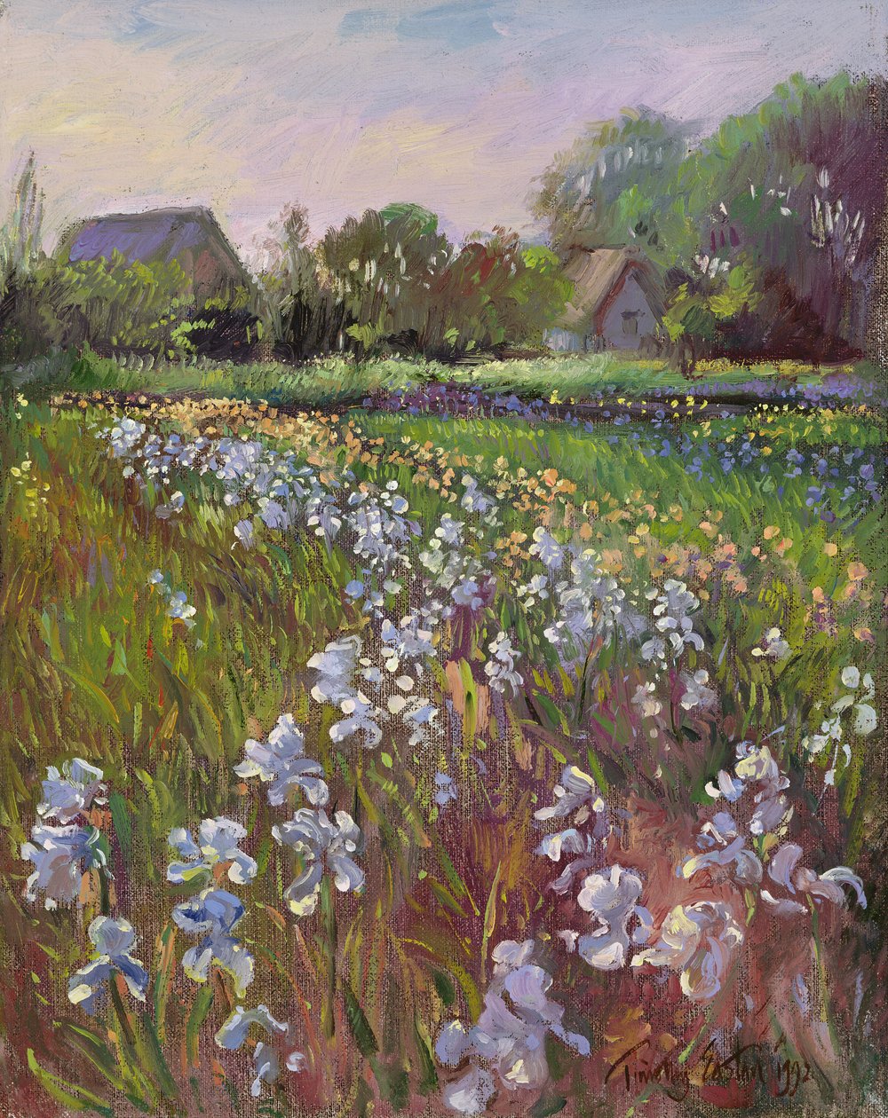 Iris blancos y granja de Timothy Easton