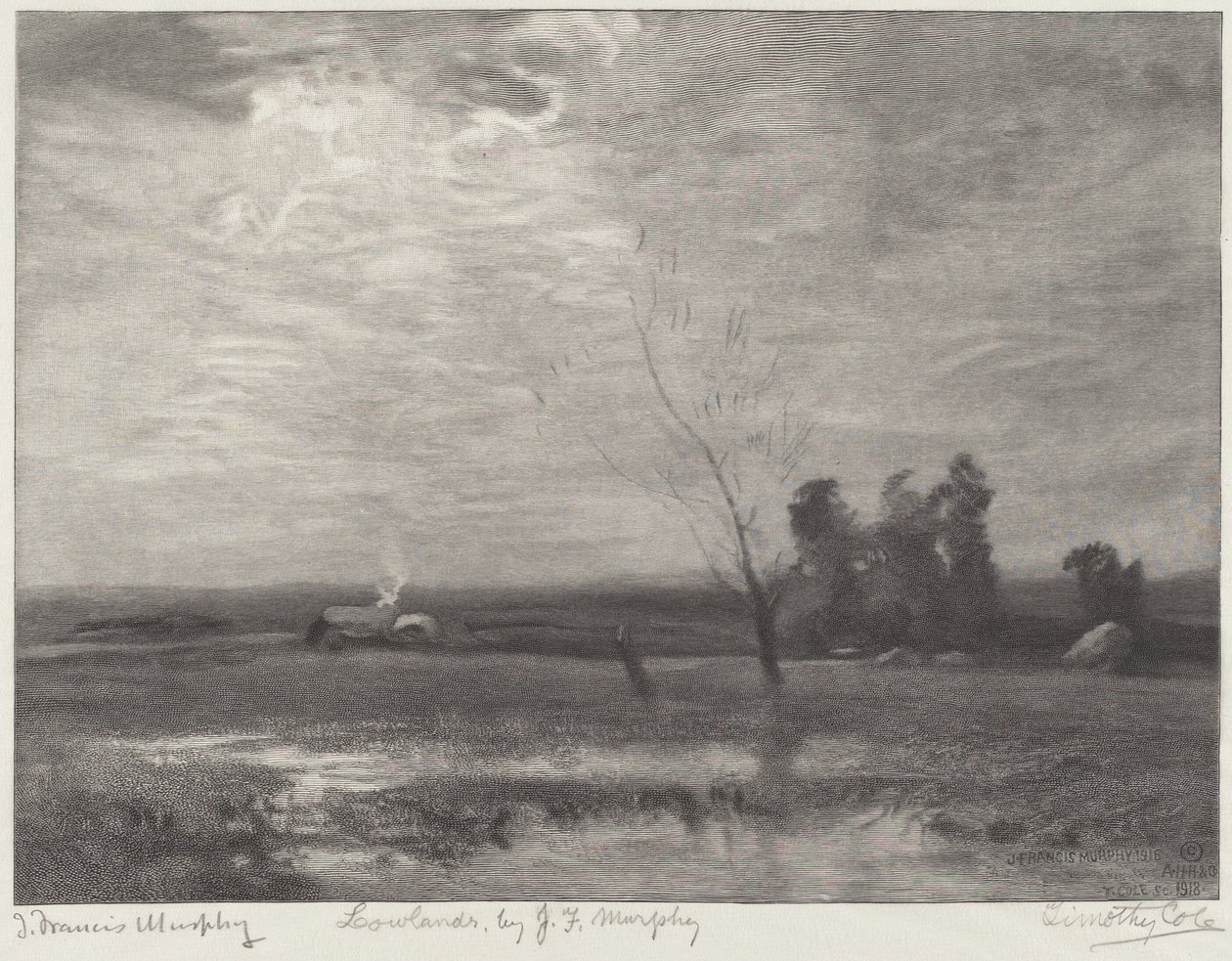 Tierras bajas de Timothy Cole after John Francis Murphy