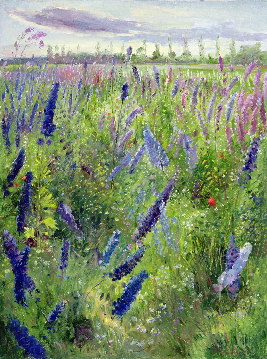 Delphiniums y sol emergente de Timothy Easton