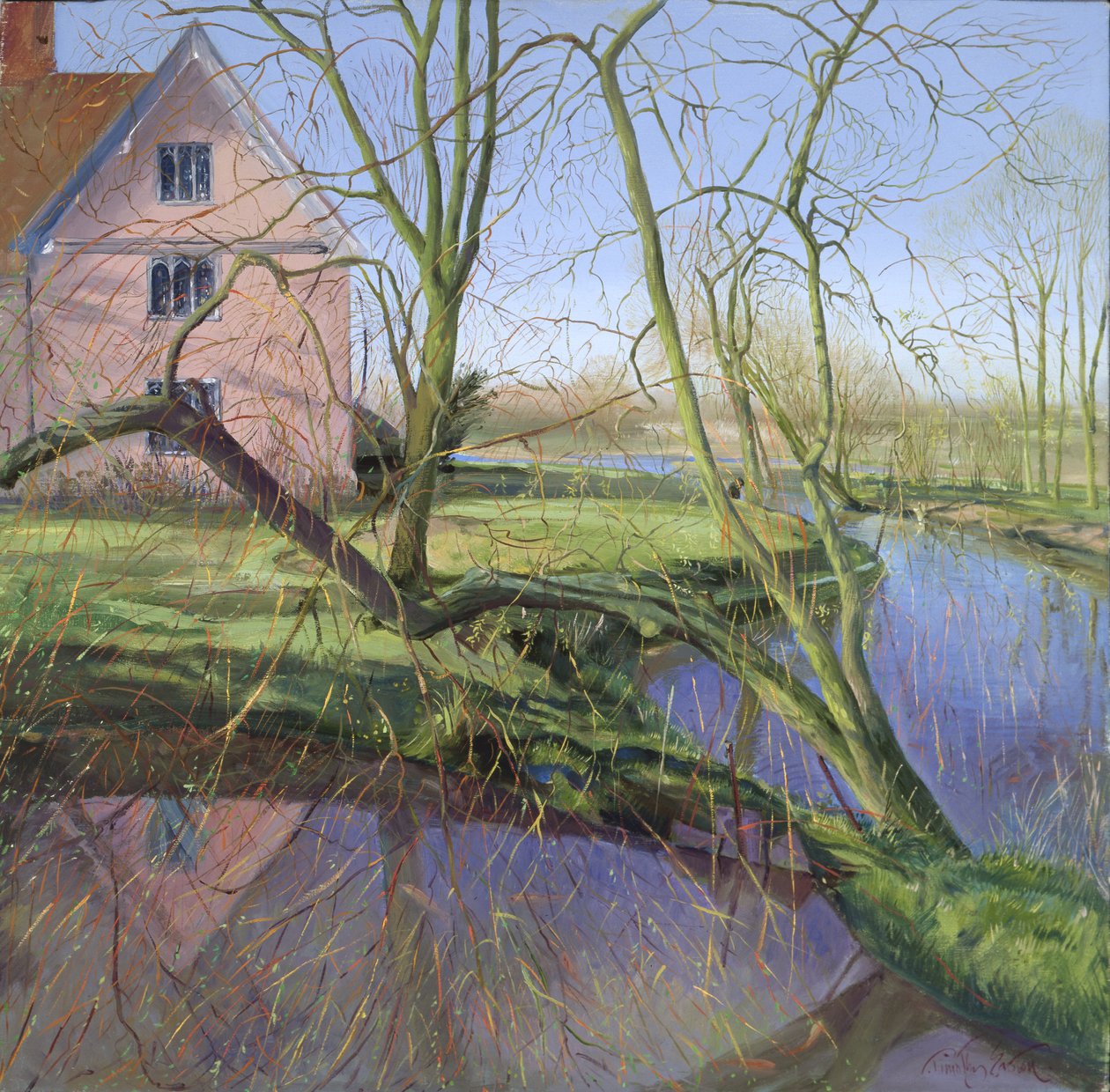 Sauce germinado de Timothy Easton