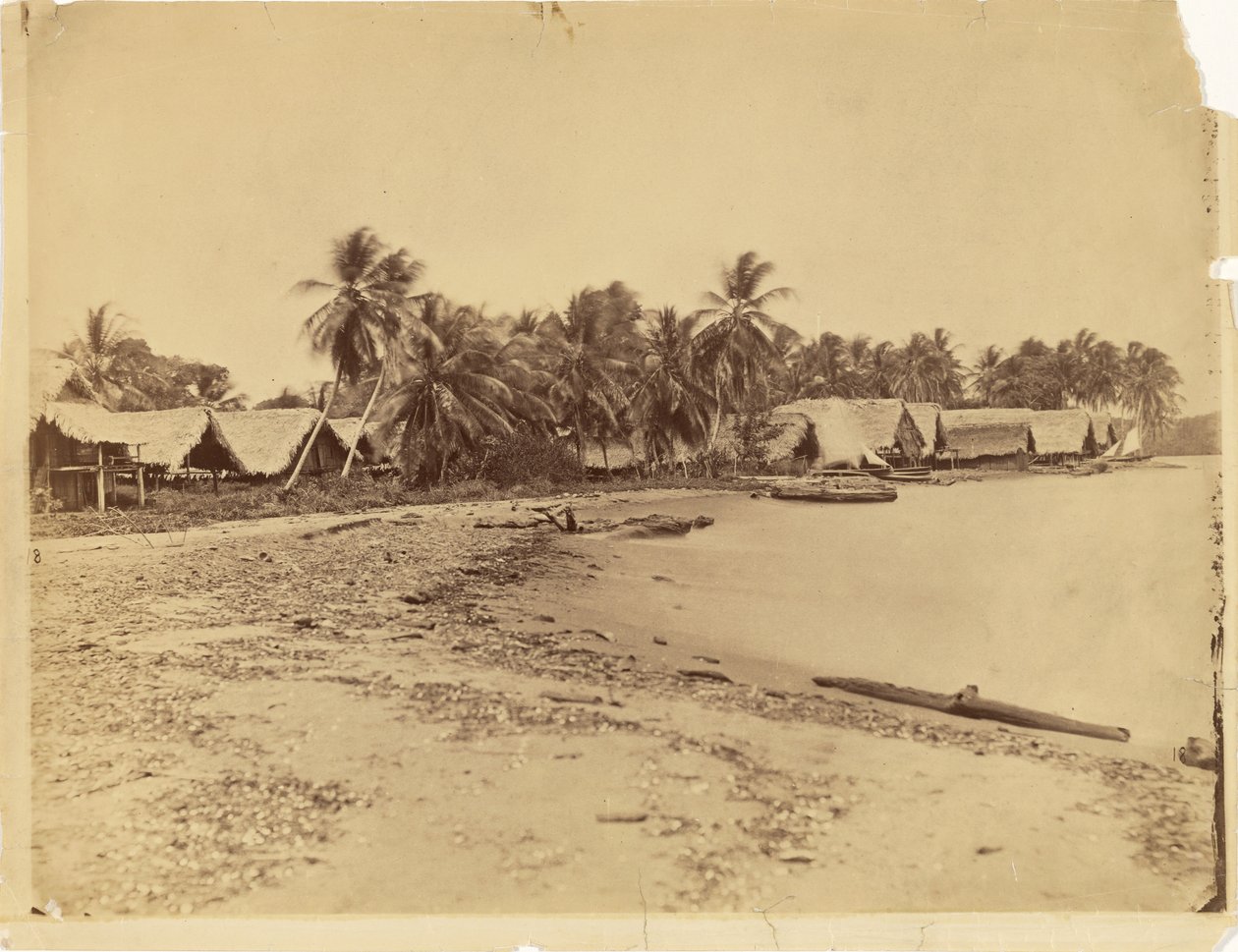 [Cabañas, palmeras y playa, Itshumus de Darién (Panamá)] de Timothy H. O