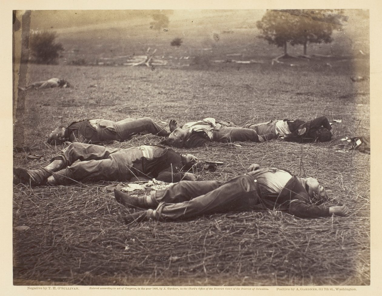 Campo donde cayó el general Reynolds, Gettysburg de Timothy O