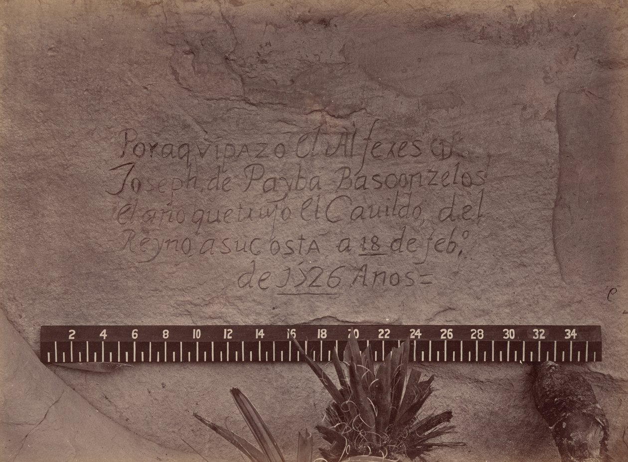 Exploraciones y estudios geográficos y geológicos al oeste del meridiano 100 de Timothy O